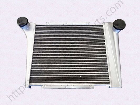 購入 SHAC F2000 F3000 X3000 H3000 X5000 X6000 L5000 トラックのスペアパーツ 超充電インタークーラー DZ9218530101 オンライン製造